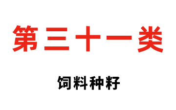 第三十一类 饲料种籽